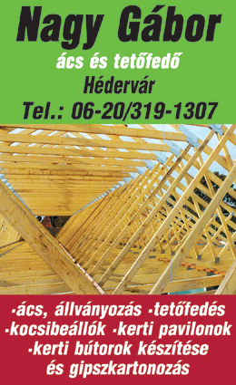 Nagy Gábor - Ács, tetőfedő