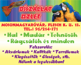 Díszállat Üzlet