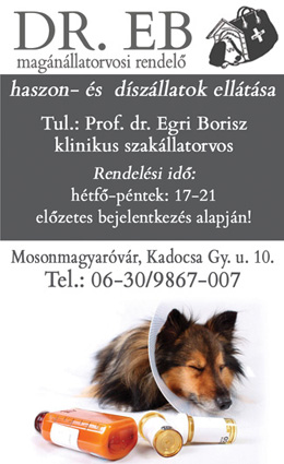 dr. eb - magánállatorvosi rendelő