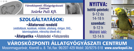 Szürke Puli Kft. Városközponti Állatgyógyászati Centrum