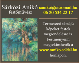 Sárközi Anikó festőművész