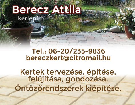 Berecz Attila - Kertépíto